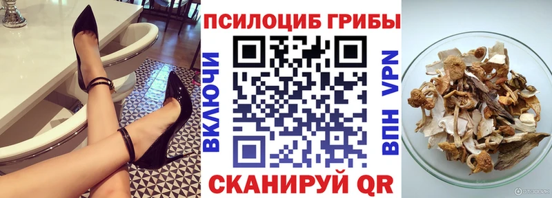 купить   Нижний Новгород  Галлюциногенные грибы GOLDEN TEACHER 