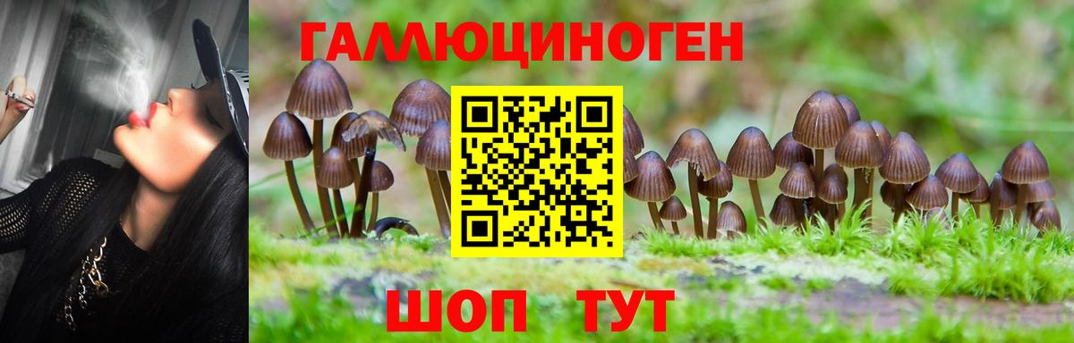 Нижний Новгород  Галлюциногенные грибы ЛСД  Вход с VPN  Псилоцибиновые грибы прущие грибы 