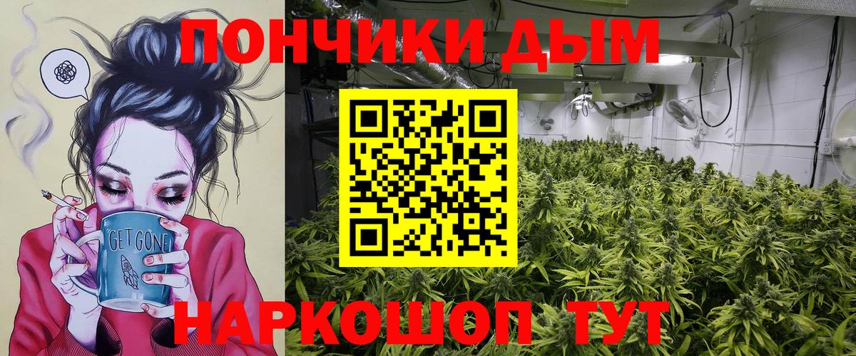 Бошки марихуана VHQ  МАРИХУАНА ГИДРОПОН  Бошки Шишки сатива  Нижний Новгород 